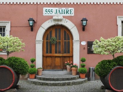 Foto: Gruner Baum